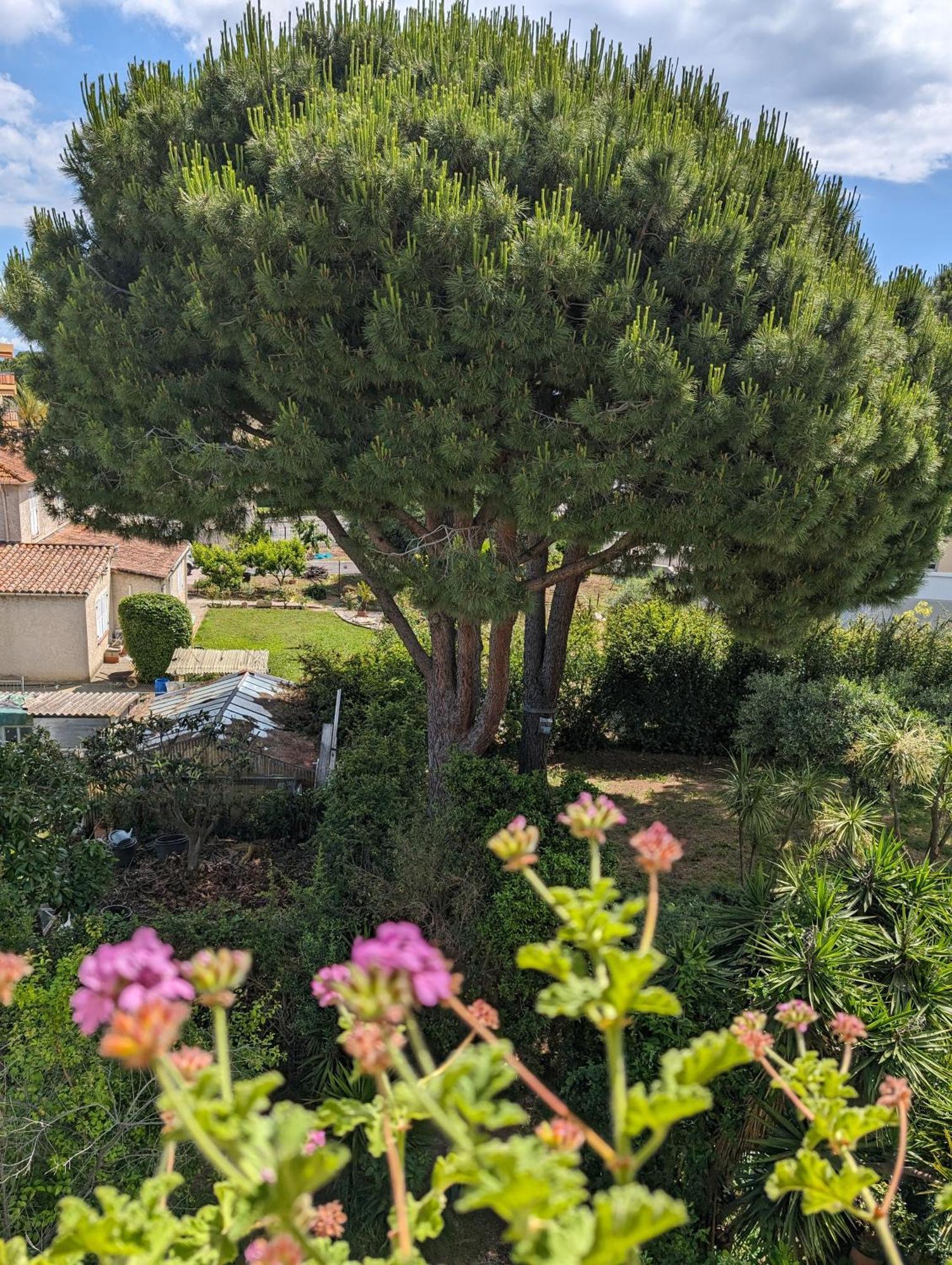 Studio Calme Dernier Etage Αντίμπ Εξωτερικό φωτογραφία